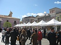 IMG_0662